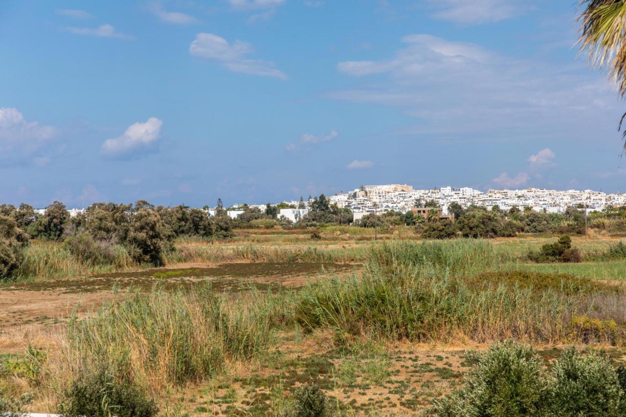 Surfer Paradise Naxos City Exteriör bild